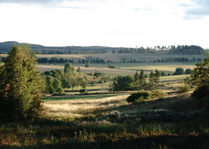 Tatil Evi Auerhahn Ferienhaeuser Auerhahn 318 *