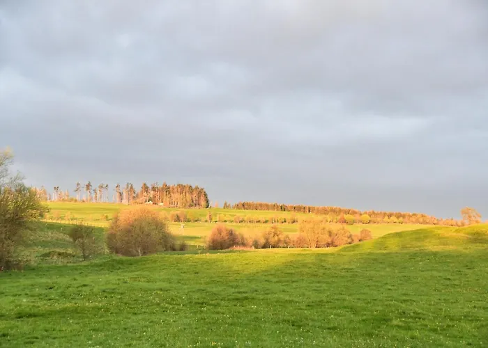 Tatil Evi Auerhahn Ferienhaeuser Auerhahn 318 Hasselfelde